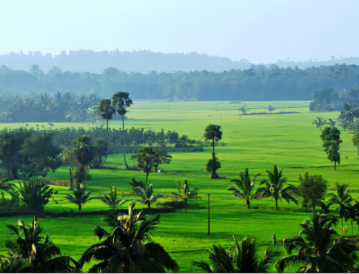 Palakkad Tour Package